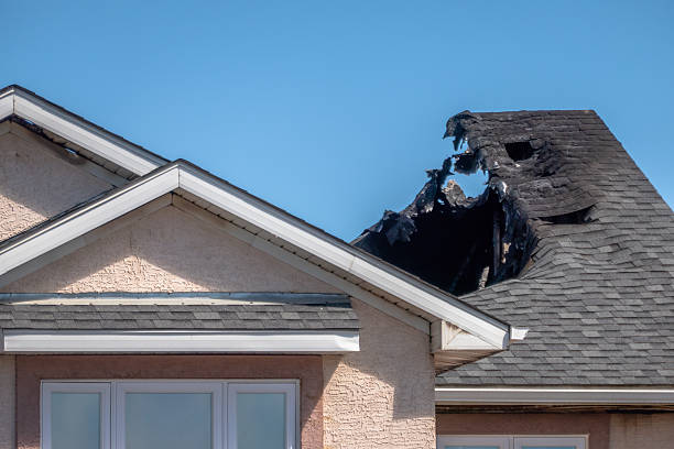 Top rated local Board Up Services specialists in Big Lake, TX